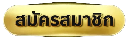 เข้าสู่ระบบ